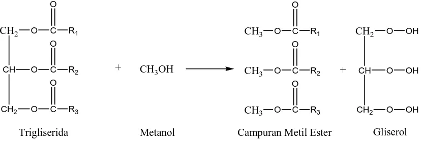 Gambar 2.8. Persamaan Reaksi Transesterifikasi 