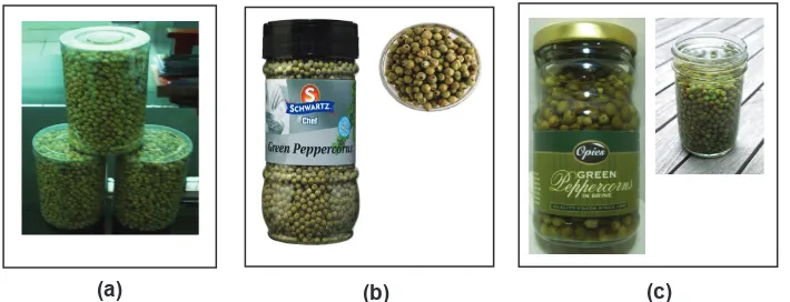 Gambar 1. Produk lada hijau: (a) dehydrated green pepper, (b) freeze-dried green                      pepper, dan (c) lada hijau dalam larutan garam