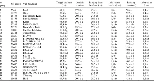 Tabel 4. Pengujian sifat agronomis dan vegetatif dari 25 aksesi terpilih dengan potensi hasil 4,7-5,9 t/ha, KP Sukamandi, MK 2009