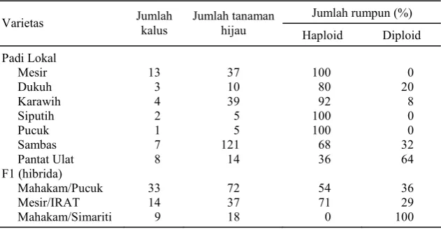 Tabel 7. Tahapan perbaikan varietas padi melalui metode kultur anter dan konvensional
