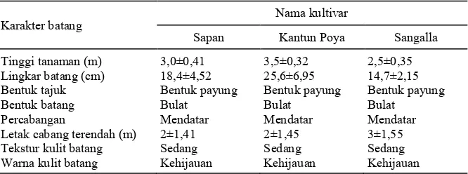 Tabel 1. Karakter batang tanaman tamarillo di Kabupaten Toraja Utara dan Tana Toraja. 