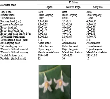 Tabel 4. Karakter buah tamarillo di KabupatenToraja Utara dan Tana Toraja. 