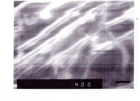 Gambar 4.1. Foto SEM Komposit PE dan serat kaca tanpa penambahan xilena 