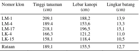 Tabel 4. Penampilan komponen hasil beberapa nomor koleksi plasma nutfah jambu mete di Onembute Kendari, 2002