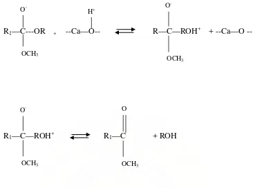 Gambar 2.3. Mekanisme reaksi transesterifikasi padat dengan katalis basa CaO  