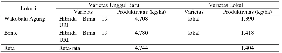Tabel 4. Keragaan produktivitas jagung hibrida Bima 19 URI di Kabupaten Muna 2015 