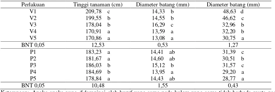 Tabel 5. Pengaruh Macam Varietas dan Dosis Pupuk terhadap Tinggi Tanaman Umur 60 Hst dan Diameter  Batang Umur 30 dan 60 Hst, MH 1998/1999 