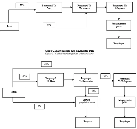 Gambar 2. Jalur pemasaran mete di Kabupaten Buton 