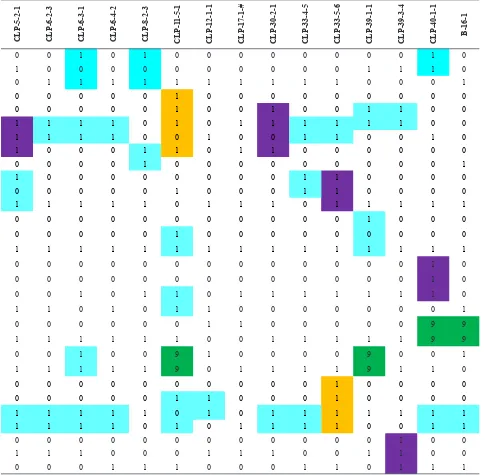 Tabel 2. Data binary pita DNA jagung. Laboratorium Biologi Molekuler Balai Penelitian Tanaman Serealia