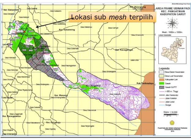 Gambar 5. Peta lahan baku sawah yang telah dibuat mesh dan lokasi sawah dengan Program SL-PTT
