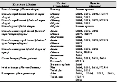 Tabel 2. Karakter umum genus Spathoglottis (General traits of Sapthoglottis)