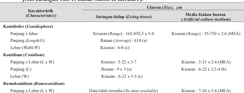 Tabel 1. Perbandingan sifat morfologi cendawan C. musae Ma son hasil isolasi dari pisang barangandengan yang ada pada literatur (Com par i son be tween mor pho log i cal char ac ter is tics of the fun gus from barangan with C