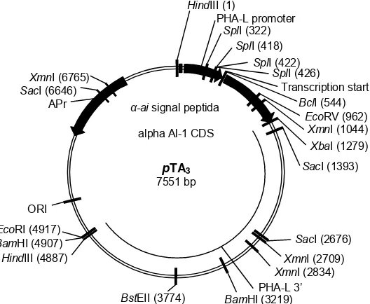 Gambar 2.  Peta plasmid pTA3. 