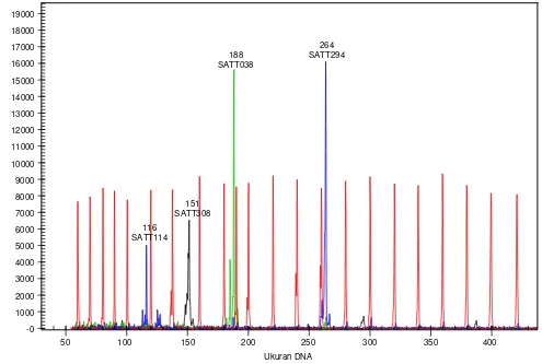 Gambar 1. Signal flourescen yang dihasilkan dari mesin Beckman CEQ 8000. Signal warna (dye) ada di ordinat Y (Y-axis), ukuran DNA ada di ordinat X (X-axis; dalam nukleotida, nt)
