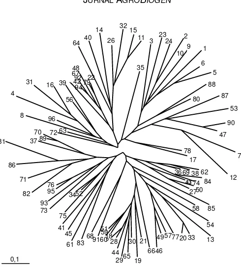 Tabel 3. Ukuran alel, jumlah alel, frekuensi alel utama, heterosigositas, diversitas gen, dan tingkat polimorfisme (polymorphism information content, PIC) yang diperoleh dari 96 sampel kedelai