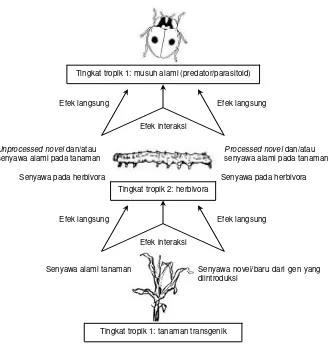 Gambar 1. Kerangka efek jaringan makanan pada tanaman transgenik tahan hama. 