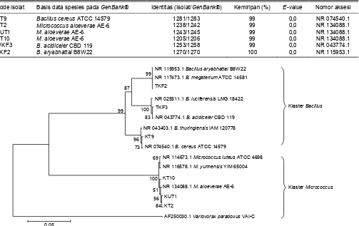 Tabel 3. Analisis gen 16S rRNA isolat bakteri terpilih menggunakan BLASTn. 