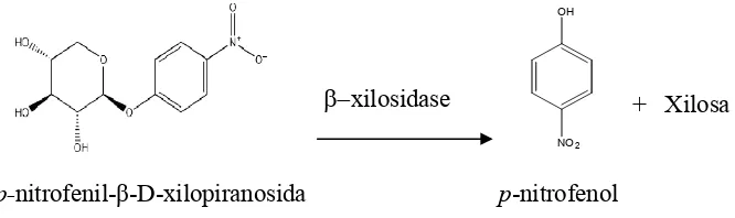 Tabel 4.1 Hasil uji aktivitas enzim β-xilosidase dengan substrat pNP-X 