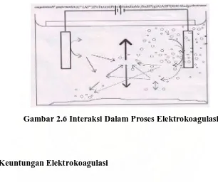 Gambar 2.6 Interaksi Dalam Proses Elektrokoagulasi 