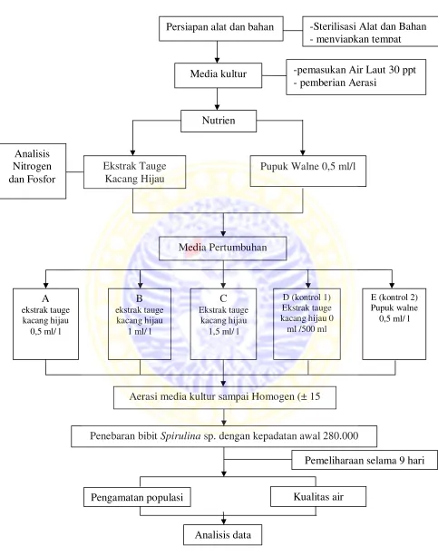 Gambar 5.Diagram Alir Penelitian  