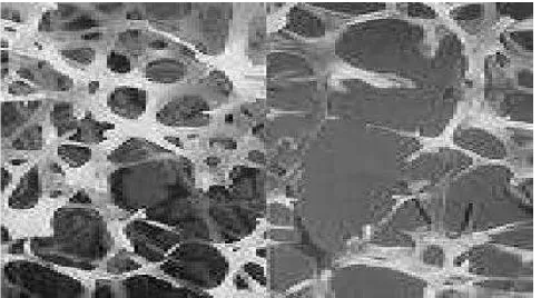 Tabel 2.2 Sifat Mekanik dan Fisis pada Scaffold (Ficai et al., 2011) 