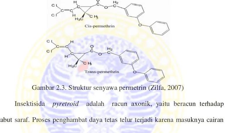 Gambar 2.3. Struktur senyawa permetrin (Zilfa, 2007)