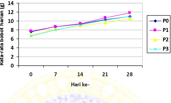 Gambar 5.1 Grafik hubungan lama pemeliharaan dengan berat rata-rata benih ikan 