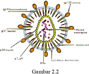 Gambar 2.2  