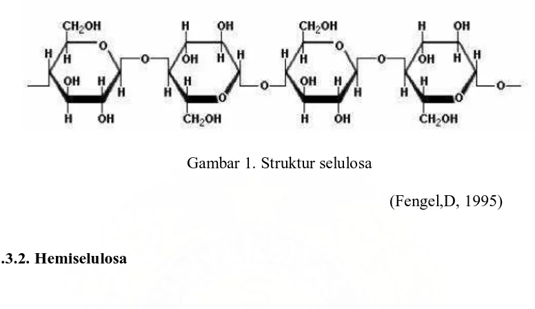 Gambar 1. Struktur selulosa 
