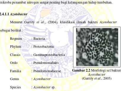 Gambar 2.2 Morfologi sel bakteri