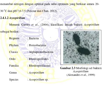 Gambar 2.3 Morfologi sel bakteri