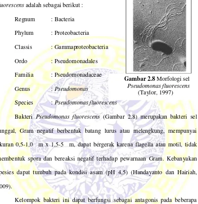 Gambar 2.8 Morfologi sel