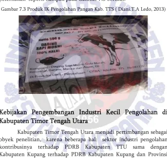Gambar 7.3 Produk IK Pengolahan Pangan Kab. TTS ( Diani.T.A Ledo, 2013) 