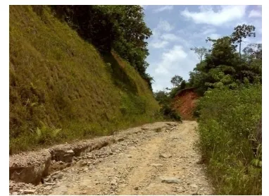Gambar 3. Kerusakan Lingkungan Akibat Penambangan Biji Besi di Kenagarian Pulakek, Kecamatan Pauh Duo, Kabupaten Solok Selatan 