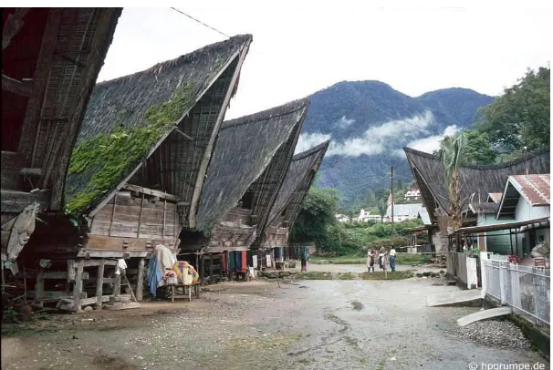 Gambar 4. Permukiman Rumah Tradisional / Adat Batak Toba di Desa Jangga Dolok(Sumber: googlemaps)