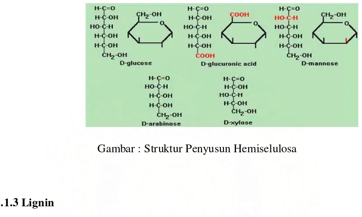Gambar : Struktur Penyusun Hemiselulosa 