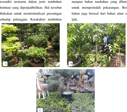 Gambar 1. Karakter Nurseri Kranggan. A) Fokus tanaman bonsai; B) tanaman buah; C) gabungan antara tanaman hias dan Buah