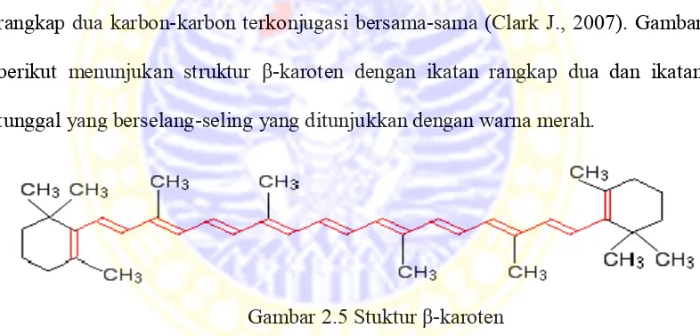 Gambar 2.5 Stuktur β-karoten 