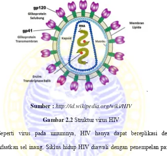 Gambar 2.2 Struktur virus HIV 