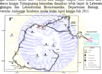 Gambar 1. Peta Lokasi Pengambilan Sampel Kerang Unionidae di Sungai Brantas Berdasarkan hasil orientasi medan ditetapkan 15 stasiun pengambilan sampel