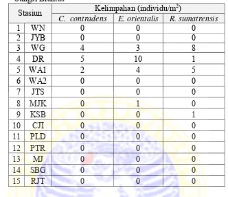 Tabel 2. Kelimpahan masing-masing jenis kerang unionidae di setiap stasiun di Sungai Brantas 2