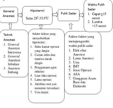 Gambar 1. Kerangka Teori 