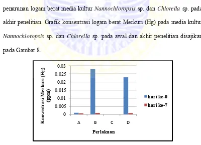 Tabel 1. Rata-rata konsentrasi logam berat Merkuri (Hg) dalam air media kultur 