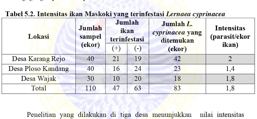 Tabel 5.2. Intensitas ikan Maskoki yang terinfestasi Lernaea cyprinacea 