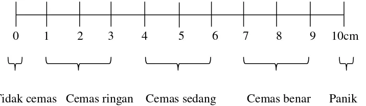 Gambar 1. Visual Analogue Scale