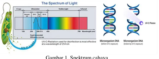 Gambar 1. Spektrum cahaya 