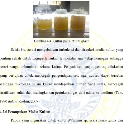 Gambar 4.4 Kultur pada Bottle glass 