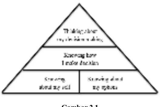 Gambar 2.1 Unsur piramida yang terlibat dalam membuat keputusan pemilihan karir 