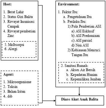 Gambar 3.1 Kerangka Konseptual Model Prediksi Kejadian Diare Akut diPuskesmas Pacar Keling Kota Surabaya (Konsep Segi Tiga Epidemiologi)  