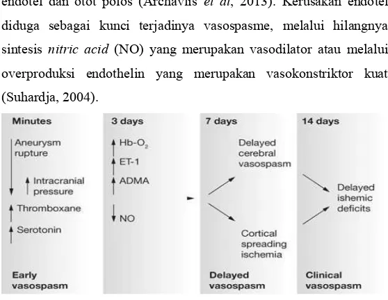Gambar 2.5.1.1 Patofisiologi vasospasme serebral (Suhardja, 2004) 